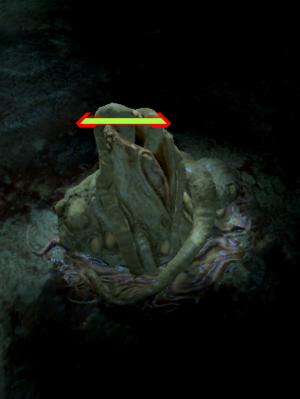 HW - Lance parasite.png