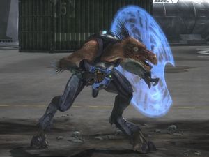 HR-Kig-Yar Minor.jpg