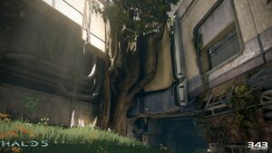 H5G-Overgrowth 08.jpg