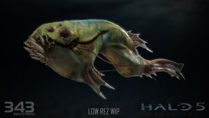 H5G-Qothal low resolution 02 (Jeremiah Strong).jpg