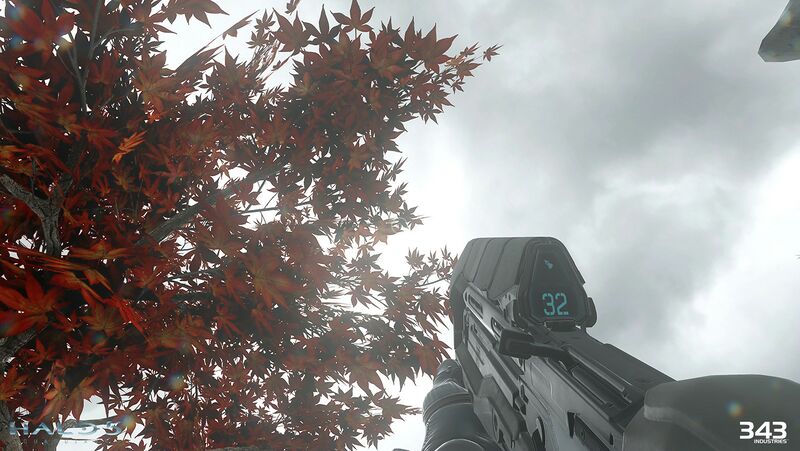 Fichier:H5G-Foliage 04 (Liz Kirby).jpg