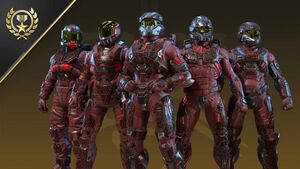 HINF-CU29 Crazed Bond coating (Ultimate reward).jpg