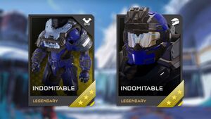 H5G-REQ Cards Indomitable.jpg