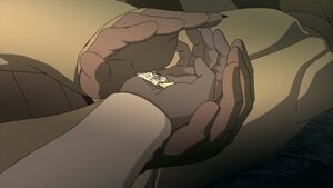 HL-Cal's data crystal.jpg