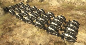 BWU HODST In for some Chop.jpg