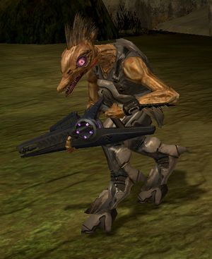 H2 Rapace sniper.jpg