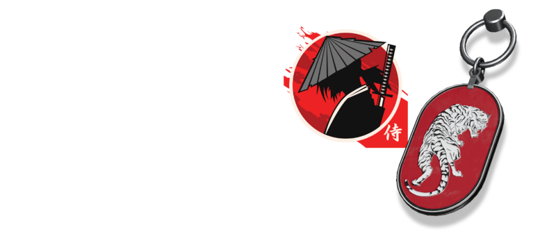 Fichier:HINF-Sun and Shadow bundle (render).png