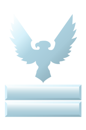 H3 Brigadier G3.png
