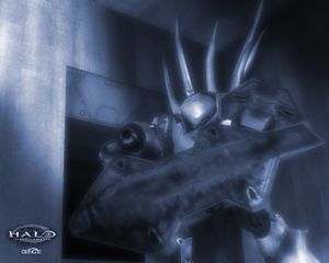 Halo CE wallpaper Hunter.jpg