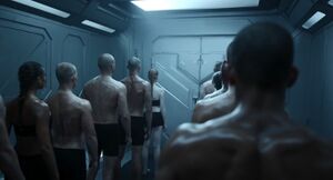 Scanned-Augmentations Spartans-II 01.jpg