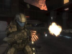 HODST Magnum tir.JPEG