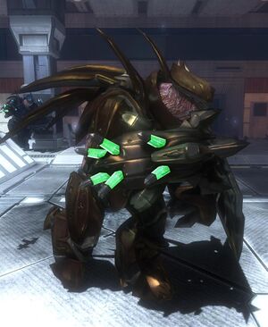 HODST-Golden Hunter 01.jpg