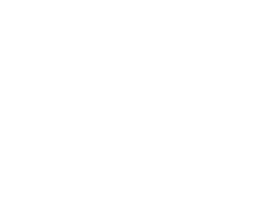 HINF Onyx backdrop.png