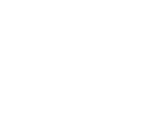 HINF CU29 Lunisolar Celebration backdrop.png