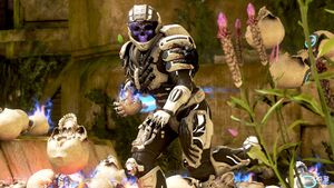 Headhunter Waypoint 03.jpg