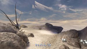 H3-L'Arche (TMCC).jpg