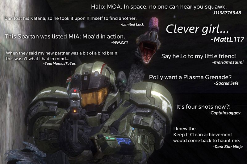 Fichier:HB 08-09-2011 Friday Caption Fun.jpg