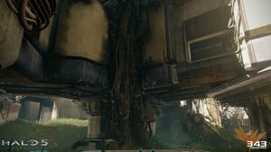 H5G-Overgrowth 07.jpg