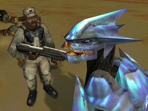 HCE-Johson & Elite (Hugging Elite).jpg