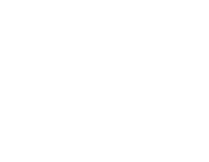 HINF CU29 Lunar Dragon backdrop.png