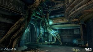 H5G-Overgrowth 12.jpg