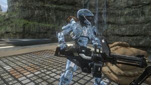 H4-M247H HMG (profile view).jpg