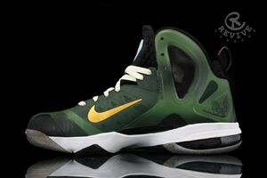 Nike-lebron-9-elite-master-chief-customs.jpg