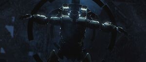 HINF-Step Inside 10.jpg