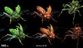 Insectes dans Halo 5 : Guardians.