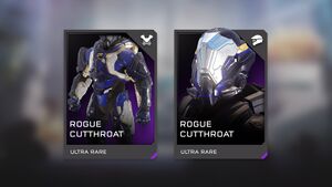 H5G-REQ Cards Rogue Cutthroat.jpg