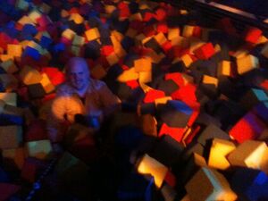 BWU HR LA event (The Pit).jpg