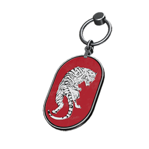 HINF Tiger Energy charm.png