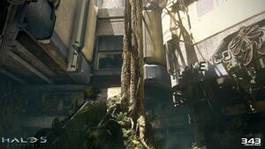 H5G-Overgrowth 06.jpg