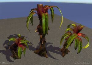 Titan thorny palm Sallenbach.JPG