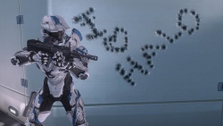 Everyone knows this about me by AMMY WOLF