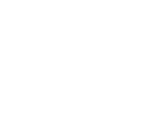 HINF Core Element backdrop.png