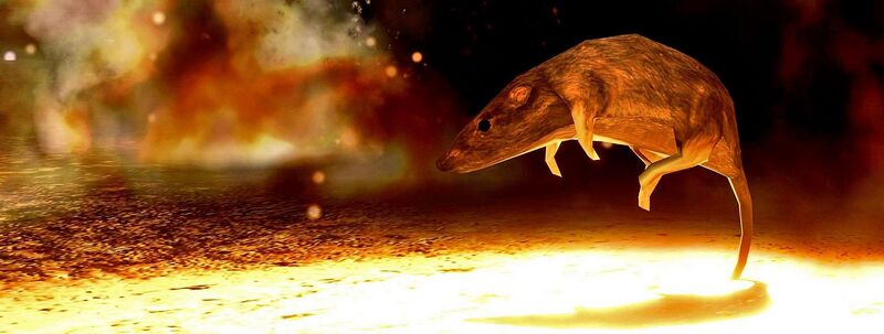 Fichier:H3-Rat (Cour des miracles 01).jpg