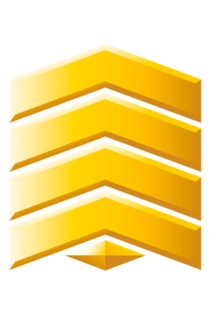 H3 GunnerySergeant G2.png