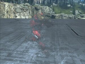 HR-Camouflage (screen 03).jpg