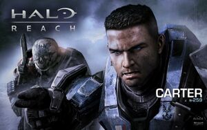 HR-Carter-A259 wallpaper.jpg