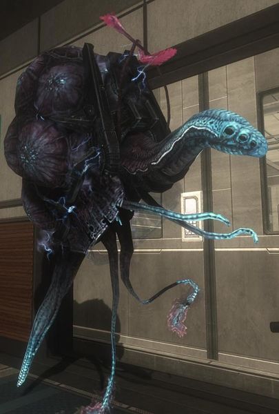 Fichier:HODST-Quick to Adjust.jpg