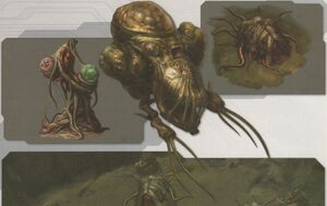 POHW Flood concepts.jpg