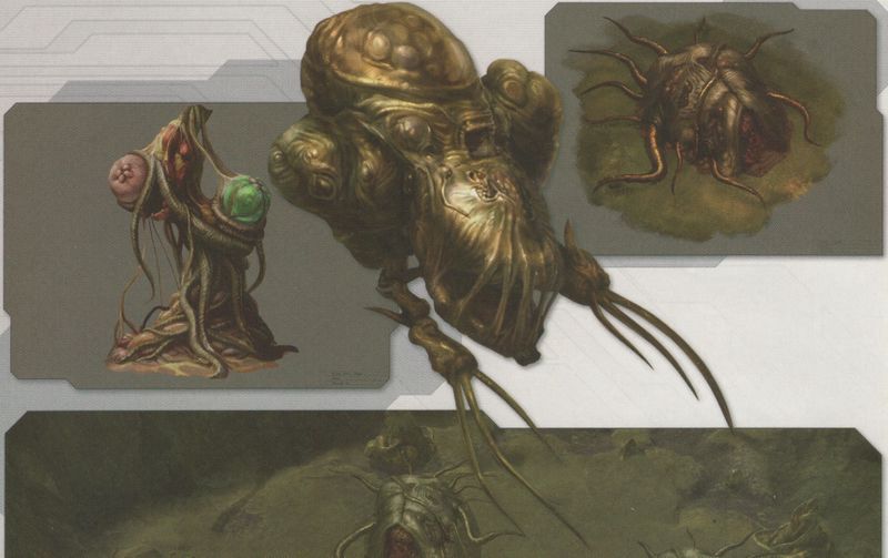 Fichier:POHW Flood concepts.jpg