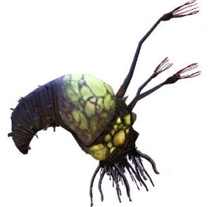 HCE-Forme d'infection (render).jpg