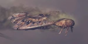 H3-Indulgence of Conviction 01.jpg