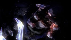 HR trailer VGA 2009 31.JPG