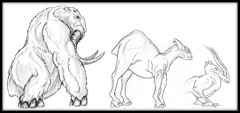 Fichier:HCE concept faune 1.jpg