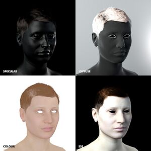 SOPS-Grant (headscan modeling).jpg