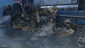 HINF-CU29 Forge Flood.jpg