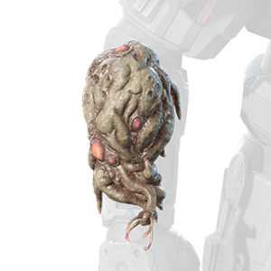 HINF S5 Defiled Touch wrist.png